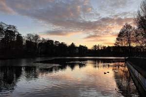 Property thumbnail 38