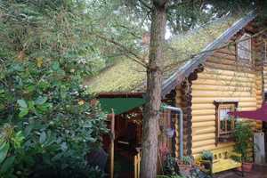 Tosterglope: Komfortables Holzhaus am Waldrand zu verkaufen – Lüneburg (Kreis) – Vorschaubild 1