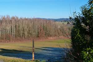Eging am See: Kleines bezahlbares Häuschen. PROVISIONSFREI! – Ritzging 13, 94535 Eging am See – Vorschaubild 7