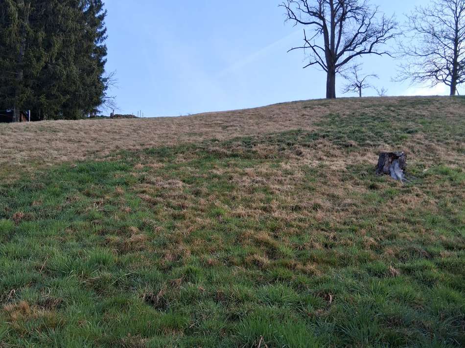 Garten Hang hinterm Haus