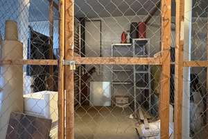 Kiel-Dietrichsdorf: Herrliche 2-Zimmer-Wohnung in gepflegter Wohnanlage – Braunsberger Weg 10, 24149 Neumühlen-Dietrichsdorf, Kiel – Vorschaubild 13