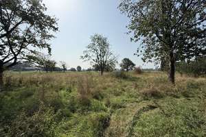 Sanierungsbedürftiger Bauernhof mit Nebengebäuden im Außenbereich von Emmerich-Elten – Die vollständige Adresse der Immobilie erhältst du vom Anbieter., 46446 Emmerich am Rhein – Vorschaubild 13