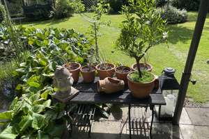 Energetisch saniertes EFH in Alt-Nettelnburg mit traumhaftem Gartenparadies – Die vollständige Adresse der Immobilie erhältst du vom Anbieter., 21035 Bergedorf (Ortsteil), Hamburg – Vorschaubild 17