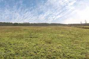 Großzügiges Zuhause mit Gartenidylle – Oberspreewald-Lausitz (Kreis) – Vorschaubild 17