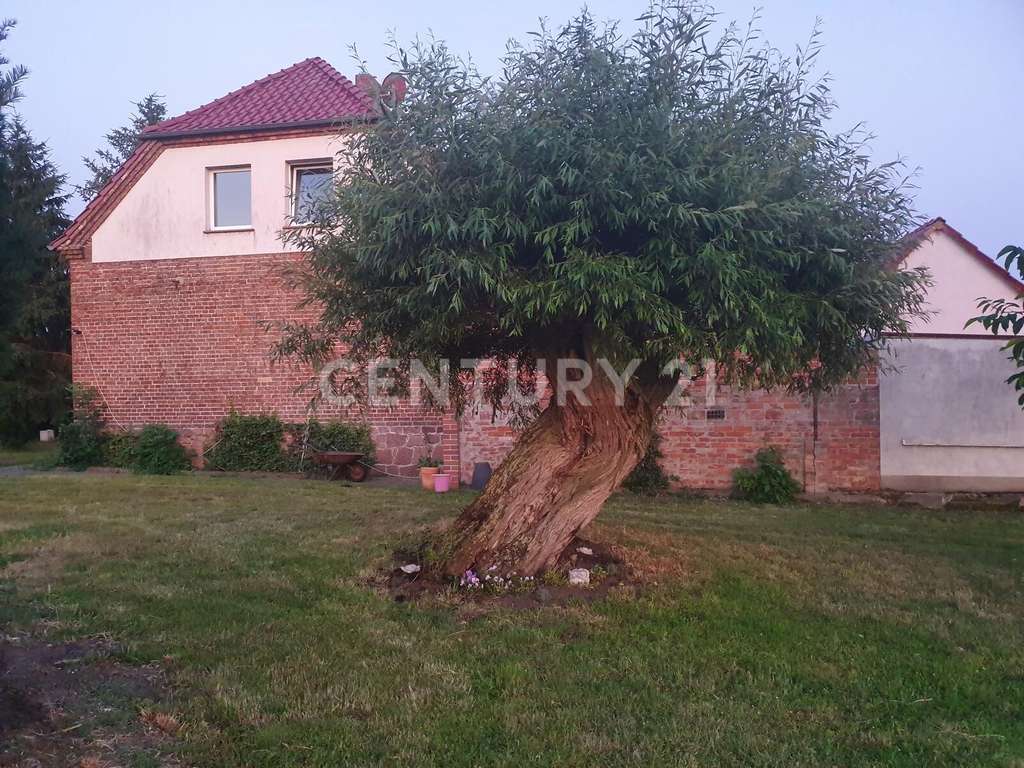 Immobilie in Südliches Anhalt - Ländliches Wohnidyll mit vielseitigen Nutzungsmöglichkeiten - Bild 3