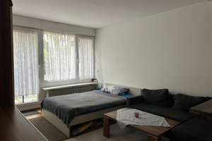 Charmante 1-Zimmer Wohnung (35m²) im 1. OG, frisch saniert in Darmstadt-West – Holzhofallee 28, 64285 Darmstadt-West, Darmstadt – Vorschaubild 9