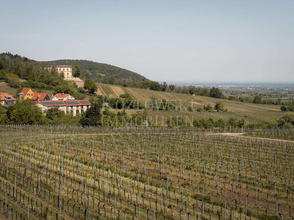 am Weinberg