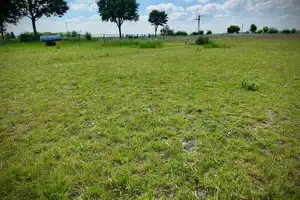 Idyllische Hofanlage mit zusätzlichem EFH in ruhiger, ländlicher Lage! – Heinsberg (Kreis) – Vorschaubild 26