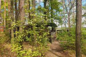 SCHÖNER BUNGALOW AM BEETZSEE ZU VERKAUFEN! NUR 100 METER BIS ZUM SEE! MIT ABGESCHLOSSENEM KANUPLATZ! – Campingplatz Flachsberg 1, 14778 Potsdam-Mittelmark (Kreis) – Vorschaubild 4