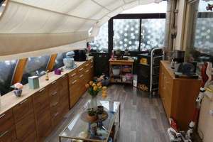 Niefern - Großzügige, hochwertig renovierte Doppelhaushälfte mit ELW, schönem Garten und Garage! – Die vollständige Adresse der Immobilie erhältst du vom Anbieter., 75223 Niefern-Öschelbronn – Vorschaubild 8
