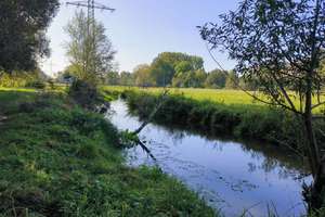 Property thumbnail 17