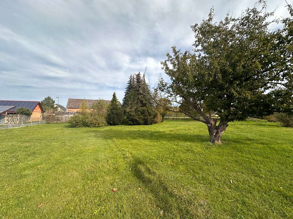 Immobilie in Lutherstadt Eisleben - Drei-Seiten-Hof in Volkstedt auf tollem Grundstück - Bild 4