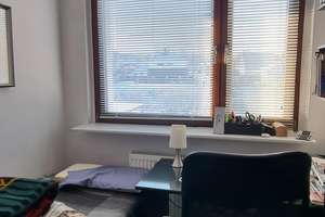 Wohnzimmer mit Echtholzparkett, Kamin, viel Platz und Gemütlichkeit – Schützenstraße  30, 17309 Pasewalk – Vorschaubild 14