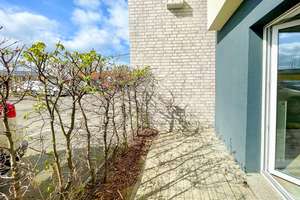 1-Zimmerwohnung mit EBK und Terrasse | Lichtenberg – Die vollständige Adresse der Immobilie erhältst du vom Anbieter., 10365 Lichtenberg (Ortsteil), Berlin – Vorschaubild 10