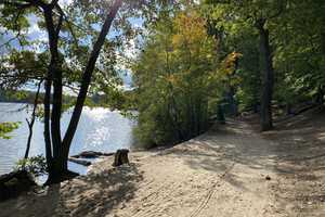 Ruhig. Schön. Schick. Schlachtensee ca. 200 m. Ein Reiheneckhaus für Mama & Papa & Kinder im Grünen – Berlin – Vorschaubild 21