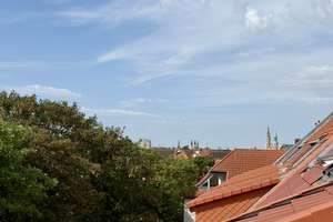 Wunderschöne Dachgeschoss-Maisonette im östlichen Ringgebiet – Humboldtstraße 23, 38106 Östliches Ringgebiet, Braunschweig – Vorschaubild 8