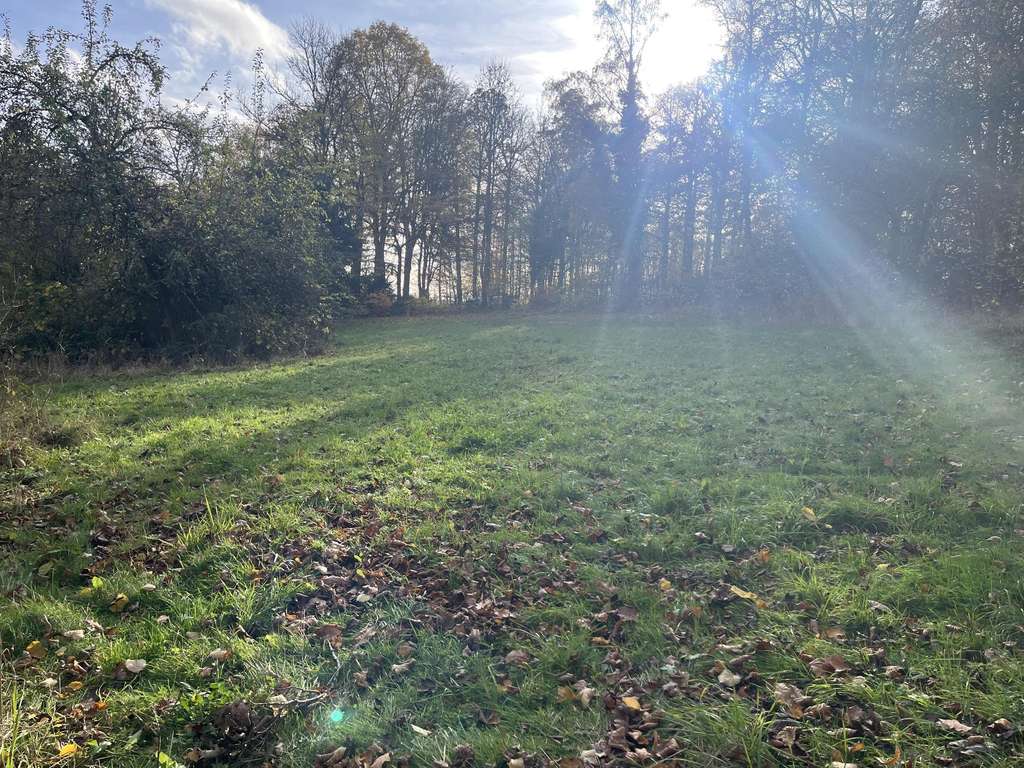 Baugrundstück mit viel Potential in Siegen-Volnsberg

