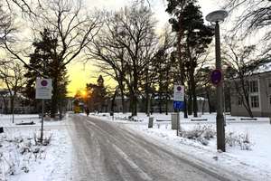 Wenn Architektur Geschichten erzählt – Wohnen am Rand des Waldes