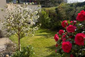 Property thumbnail 7