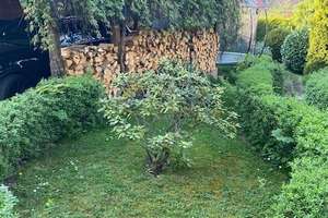 Wunderschönes Reihenendhaus in traumhafter Lage mit Carport, Einliegerwohnung und riesigem Garten! – Am Rosenhag 8, 9114 Borna-Heinersdorf, Chemnitz – Vorschaubild 19