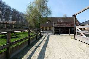 Pferderanch mit drei Wohneinheiten und 2Ha Weideland direkt am Reichswald. – Grafwegenerstraße 16, 47559 Kleve (Kreis) – Vorschaubild 9
