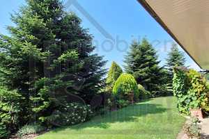 Charmanter, barrierefreier Bungalow in ländlicher Umgebung sucht neue Mieter!!! – Leer (Kreis) – Vorschaubild 13