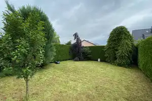 Ihr Glück hat ein Zuhause – Rheingau-Taunus-Kreis – Vorschaubild 4