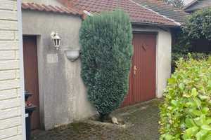 Kleines gemütliches Haus mit Garten in Sutum – Gelsenkirchen – Vorschaubild 3