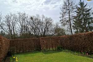 TRAUMGARTEN,  DIREKT AM PARK, UNVERBAUBAR, 3 ZI.  UND WOHNKÜCHE – Gustav Heinemann Ring 114, 81739 Altperlach, München – Vorschaubild 4