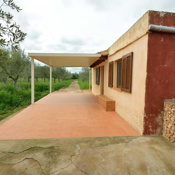 DAS OLIVENHAUS IN STA EUGENIA