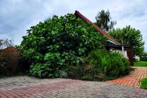 - RESERVIERT - 
Traumhaftes Einfamilienhaus mit großem Gartenparadies – Heinsberg (Kreis) – Vorschaubild 24