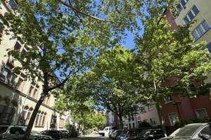Kernsaniert! 3 Zi.-Wohnung mit Balkon - Neustadt – Adam-Karrillon-Strasse 54, 55118 Neustadt, Mainz – Vorschaubild 15
