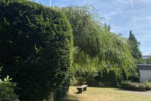 Sonnige 3-Zimmerwohnung in ruhiger Top-Lage in Leverkusen Schlebusch. Mit Gartennutzung -  – Kar-Arnold-Straße 4, 51375 Schlebusch, Leverkusen – Vorschaubild 5