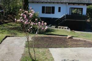 Property thumbnail 14