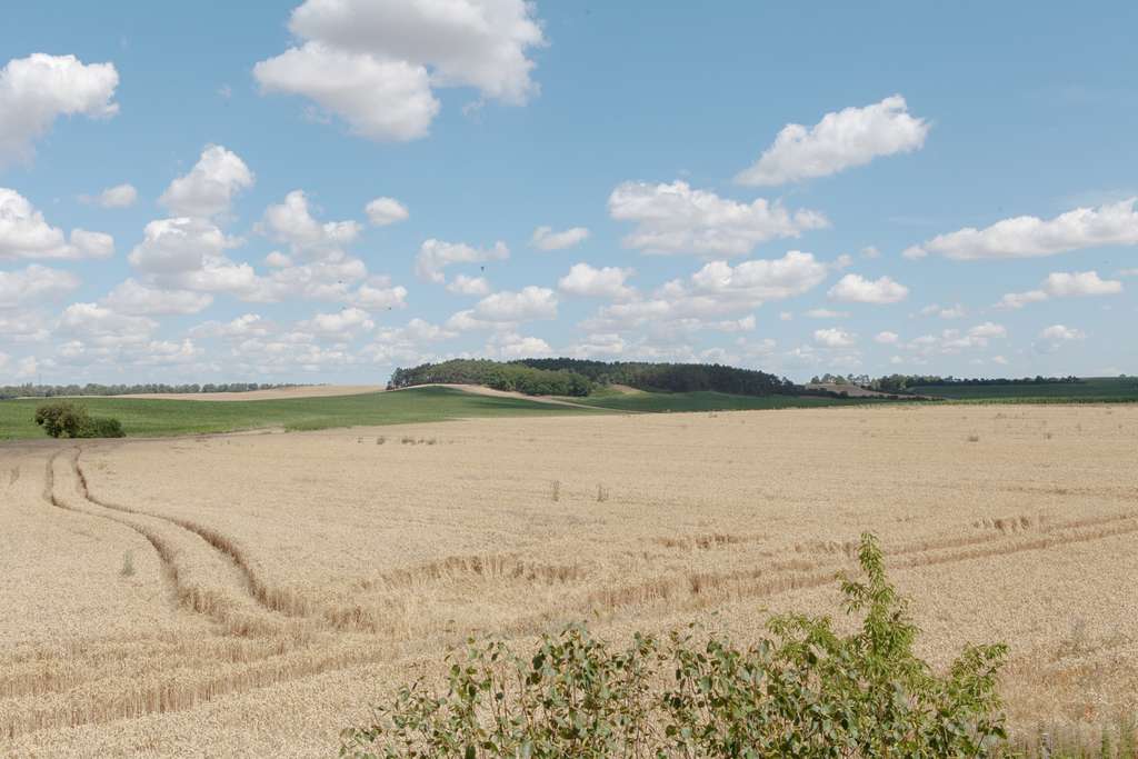Immobilie in Nordwestuckermark - Idyllisches Ferienhaus in der Uckermark mit wunderschön angelegtem Garten - Bild 4