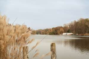 Property thumbnail 26