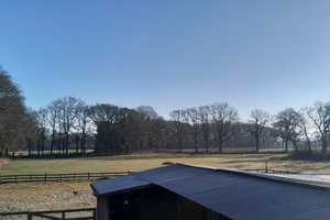 Großer Resthof/Mehrgenerationenhaus auf ca. 2ha, ideal für Pferdehaltung, vollrenoviert, Alleinlage – Leer (Kreis) – Vorschaubild 17