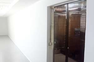 Gemütliche 2-Zimmer-Wohnung in ruhiger Lage von Tolkewitz – 1279 Tolkewitz/Seidnitz-Nord, Dresden – Vorschaubild 8