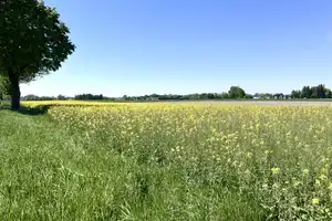 Eichenried: Wo Ihre Wohnträume Ihr Zuhause finden - Ihre eigene Doppelhaushälfte mit sonnigem Garten – Erding (Kreis) – Vorschaubild 11