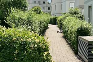 Von Privat: Luxus Penthouse in attraktiver Lage in Charlottenburg Westend – Tharauer Allee 12, 14055 Westend, Berlin – Vorschaubild 3