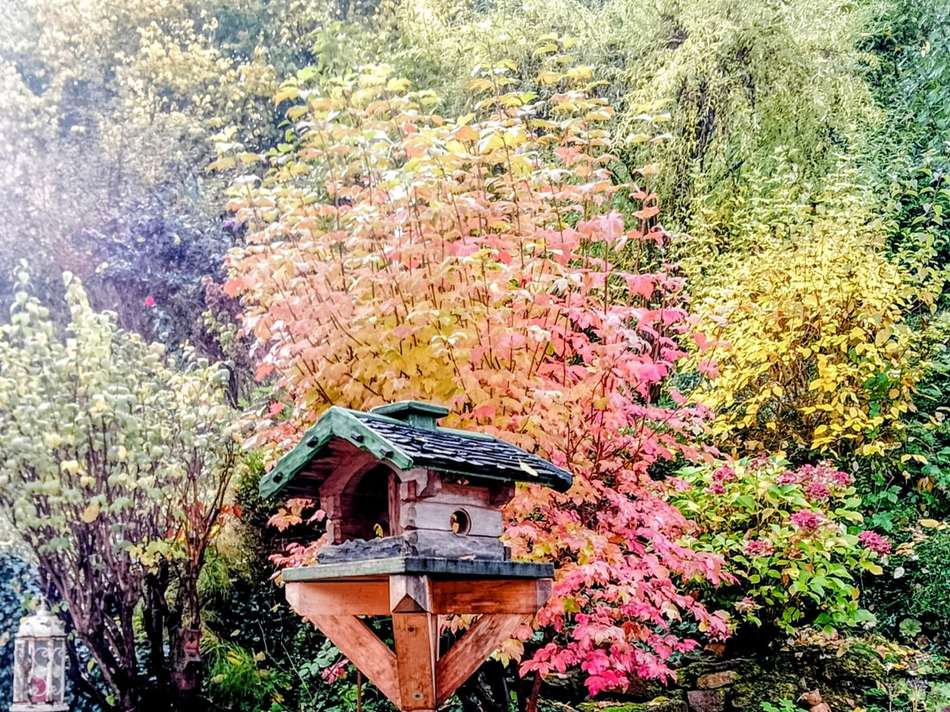 Herbstgarten