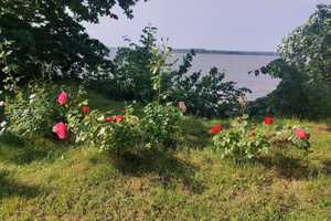 Top Wohnlage ! Wasserblick auf den Strelasund ! 3 Wohneinheiten !!! – Stralsund – Vorschaubild 23