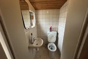 Geräumiges und Stilvoll renoviertes Eigenheim mit großem Garten – Kusel (Kreis) – Vorschaubild 11