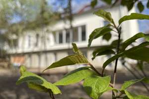 Wohnung mit Loggia und Garten auf altem Gutshof in Leipzig – Zuckelhausener Ring 6a, 4288 Holzhausen, Leipzig – Vorschaubild 2
