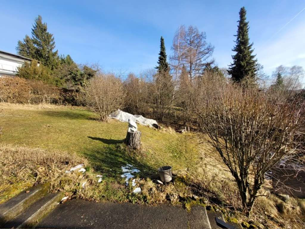 Immobilie in Lichtenstein - Leben in der Natur! Stattliches Landhaus (EFH mit ELW) und großem Grundstück! Kaufen und Einziehen! - Bild 4