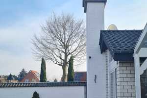 Großzügige Doppelhaushälfte zu verkaufen – Steinfurt (Kreis) – Vorschaubild 4