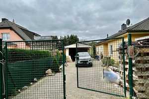 Einfamilienhaus im Bungalowstil in Berlin-Bohnsdorf – Berlin – Vorschaubild 13