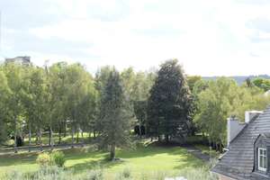 Klein, fein, mittendrin – Charmante 2-Zimmerwohnung im Herzen von Idstein – 65510 Idstein – Vorschaubild 4