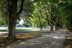 Property thumbnail 16