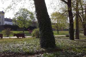 Property thumbnail 20